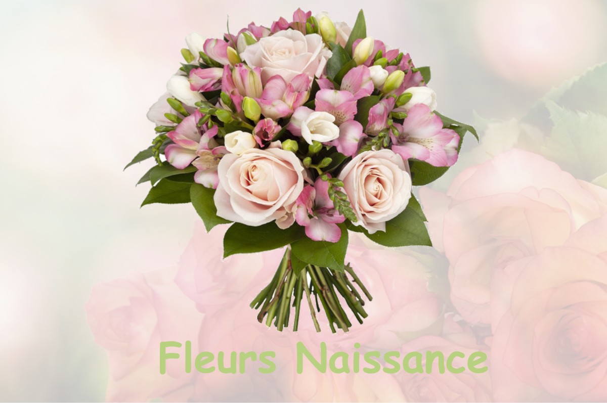 fleurs naissance POILLY